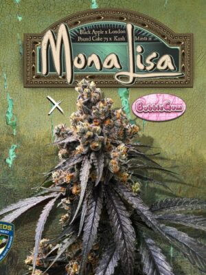 Mona Lisa - T.H. Seeds feminisiert 6er Pack