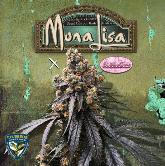 Mona Lisa - T.H. Seeds feminisiert 6er Pack