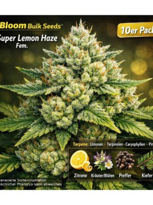 Mookie B R1 – Ethos feminisiert 5er Pack Cannabis Samen