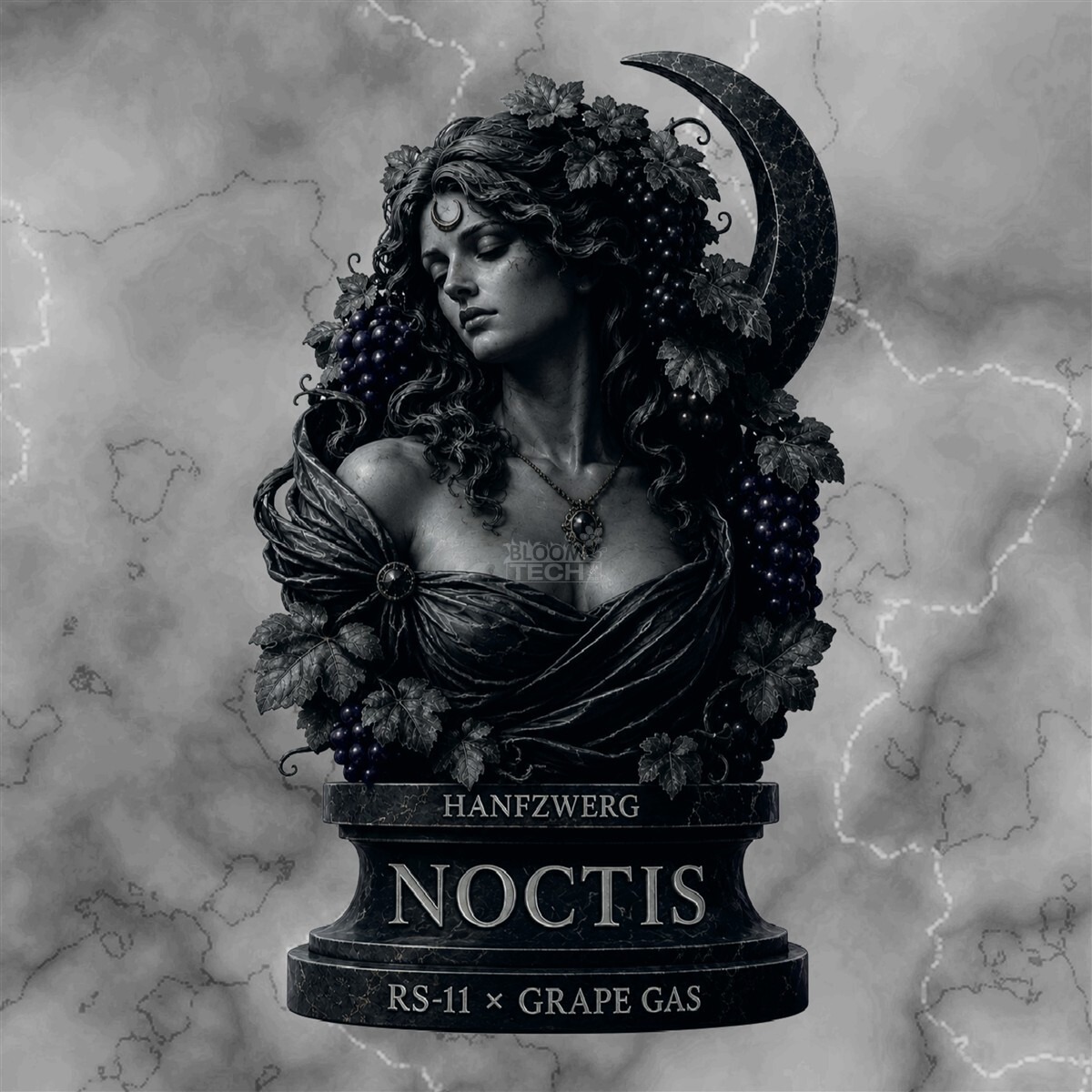 Noctis - Hanfzwerg feminisiert 3er Pack