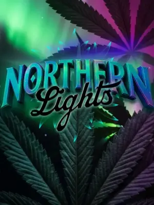 Northern lights barneys farm