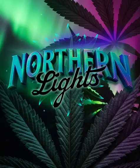 northern lights