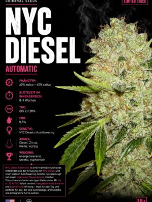 NYC Diesel Auto - Criminal Seeds feminisiert 3er Pack