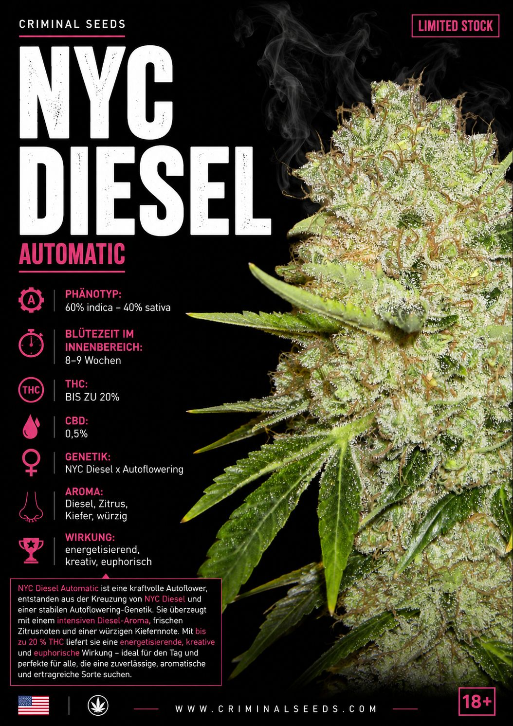 NYC Diesel Auto - Criminal Seeds feminisiert 3er Pack