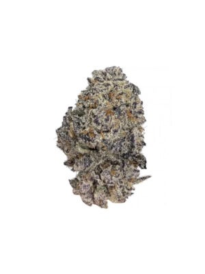 Original Oreoz - Growers Choice feminisiert 3er Pack