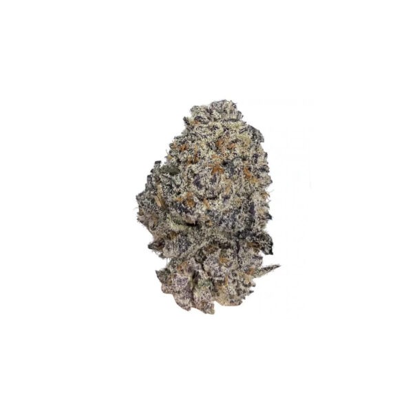 Original Oreoz – Growers Choice feminisiert 3er Pack