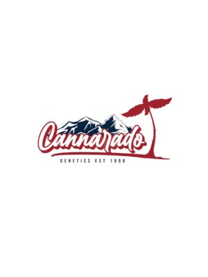Papaya Pound Cake - Cannarado feminisiert 6er Pack