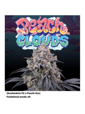 Peach Clouds - Perfect Tree feminisiert 6er Pack