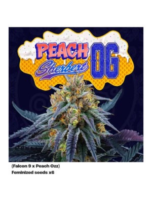 Peach Sherbert OG - Perfect Tree feminisiert 6er Pack