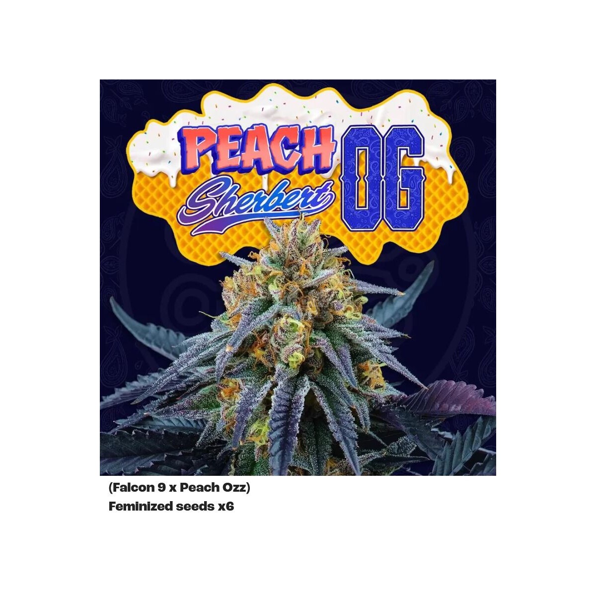 Peach Sherbert OG - Perfect Tree feminisiert 6er Pack