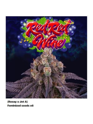 Red Red Wine - Perfect Tree feminisiert 6er Pack