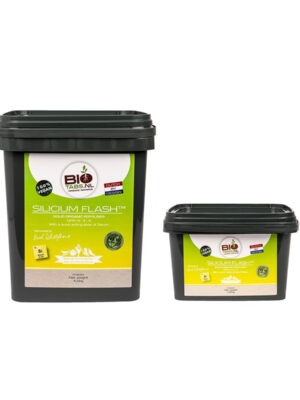 BioTabs Silicium Flash 4,5kg