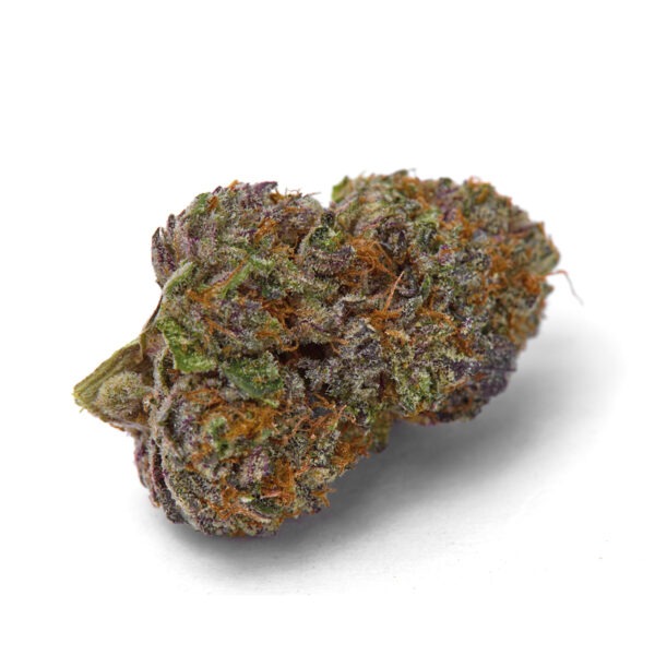 Growers Choice Purple Dosi Punch Samen – Bild 2
