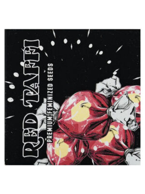 Red Taffi – Doja Seeds feminisiert 3er Pack Red Taffi – Doja Seeds feminisiert 3er Pack