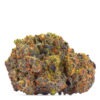 Growers Choice San Fernando Valley x The Purps Samen – Bild 2