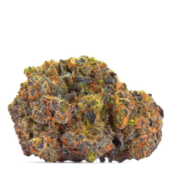 Growers Choice San Fernando Valley x The Purps Samen – Bild 2