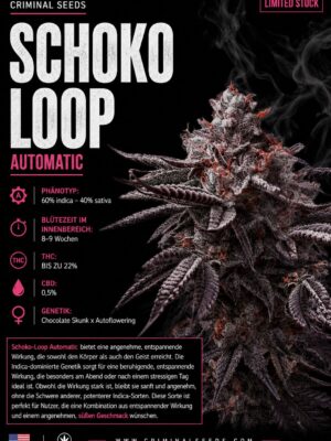 Schoko Loop Auto - Criminal Seeds feminisiert 3er Pack