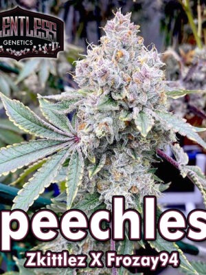Speechless – Relentless Genetics feminsiert 7er Pack Speechless – Relentless Genetics feminsiert 7er Pack