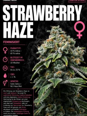 Strawberry Haze - Criminal Seeds feminisiert 3er Pack