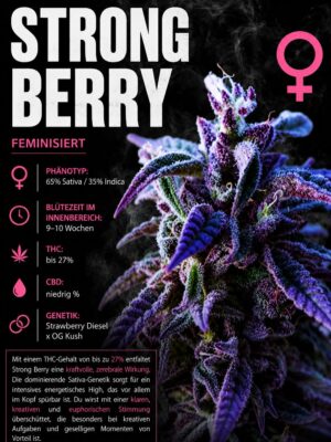 Strong Berry Cali Limited – Criminal Seeds feminisiert 3er Pack
