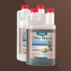 Canna CoGr Flores A+B 2x 1 Liter