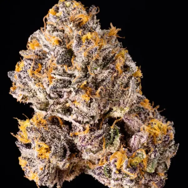 The Keeper Wizard Trees feminisiert 3er Pack