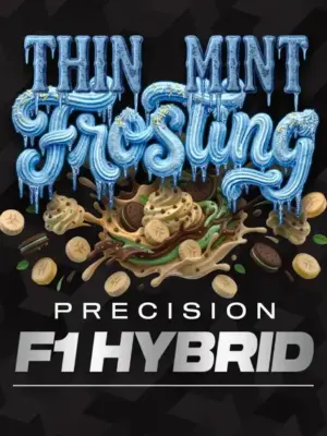 Thin Mint Frosting feminisiert - Barneys Farm 3er Pack