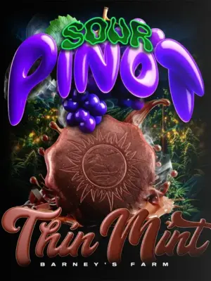 Thin Mint x Sour Pinot Auto - Barneys Farm feminisiert 3er Pack