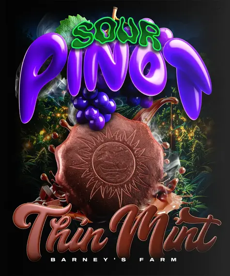 thin-mint-x-sour-pinot-auto_circle_new_21_627275-1.webp Thin Mint x Sour Pinot Auto – Barneys Farm feminisiert 3er Pack