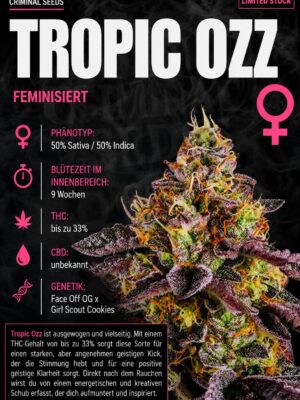 Trop Ozz Cali Limited – Criminal Seeds feminisiert 3er Pack Trop Ozz Cali Limited – Criminal Seeds feminisiert 3er Pack