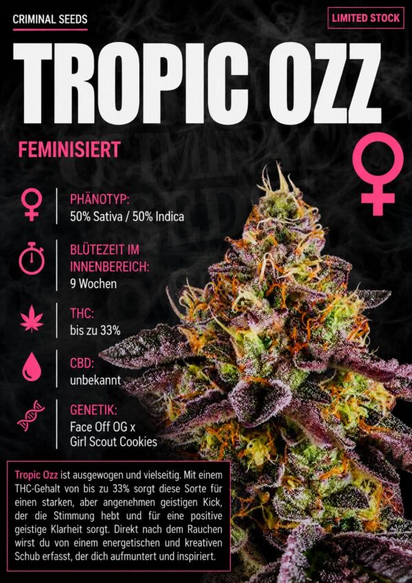 Trop Ozz Cali Limited – Criminal Seeds feminisiert 3er Pack