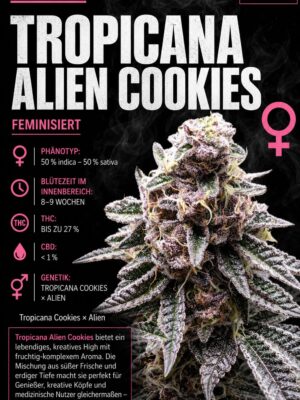 Tropicana Alien Cookies x Cali – Criminal Seeds feminisiert 3er Pack Tropicana Alien Cookies x Cali – Criminal Seeds feminisiert 3er Pack