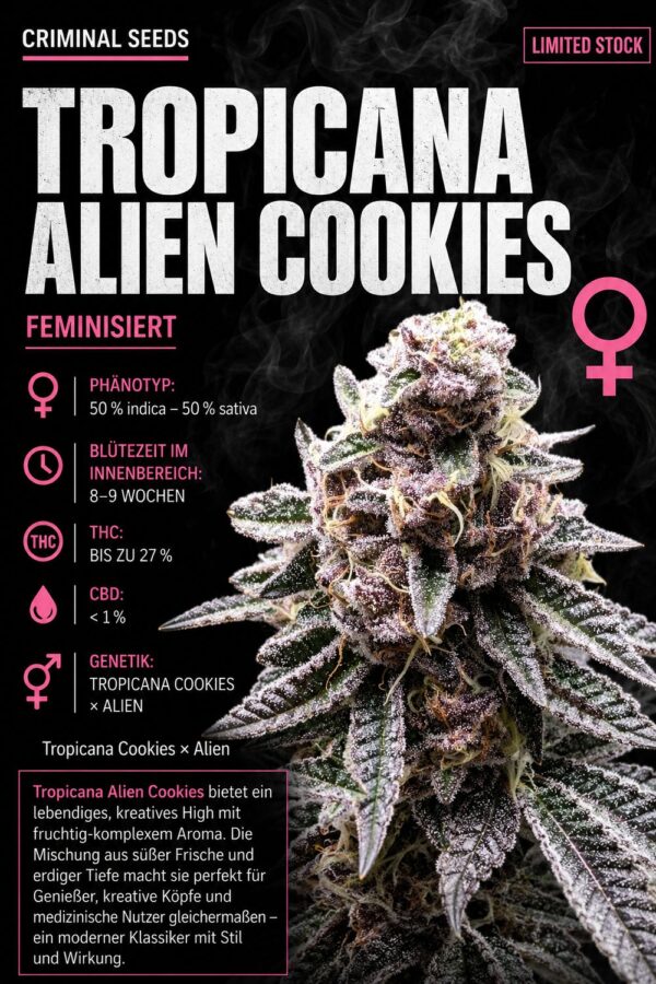 Tropicana Alien Cookies x Cali – Criminal Seeds feminisiert 3er Pack