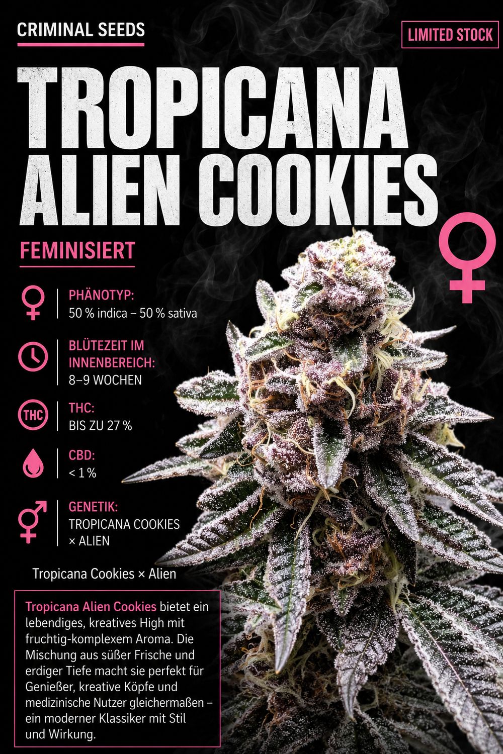 Tropicana Alien Cookies x Cali - Criminal Seeds feminisiert 3er Pack