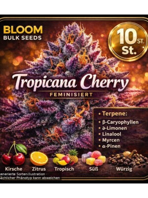 Tropicana Cherry – Bloom Bulk Seeds feminisiert 10er Pack Tropicana Cherry - Bloom Bulk Seeds feminisiert 10er Pack