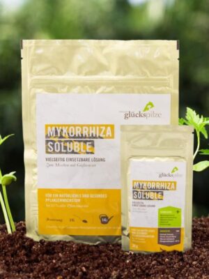 Tyroler Glückspilze Mykorrhiza Soluble 30g