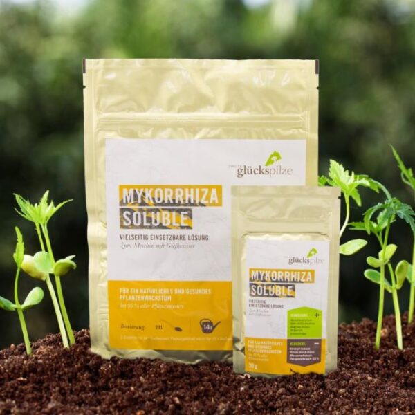 Tyroler Glückspilze Mykorrhiza Soluble 30g Tyroler Glückspilze Mykorrhiza Soluble 30g