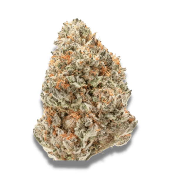 Growers Choice Watermelon Weddingcake Samen – Bild 3