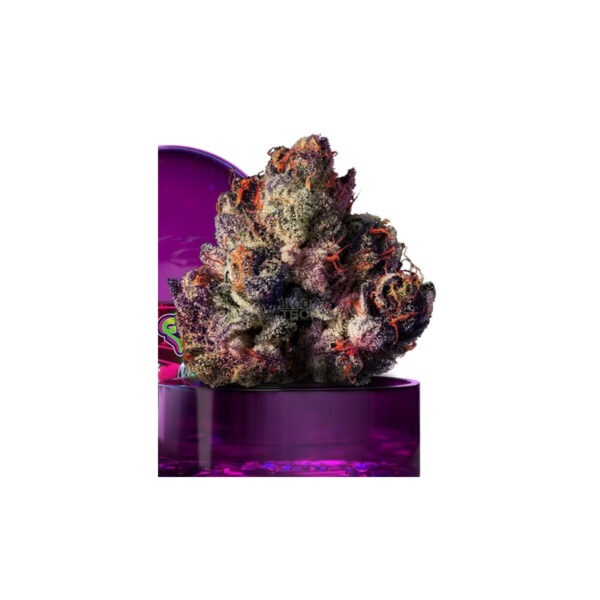 wizard-tree-rainbow-gelato-fem-3st.jpg Rainbow Gelato feminisierte Cannabissamen