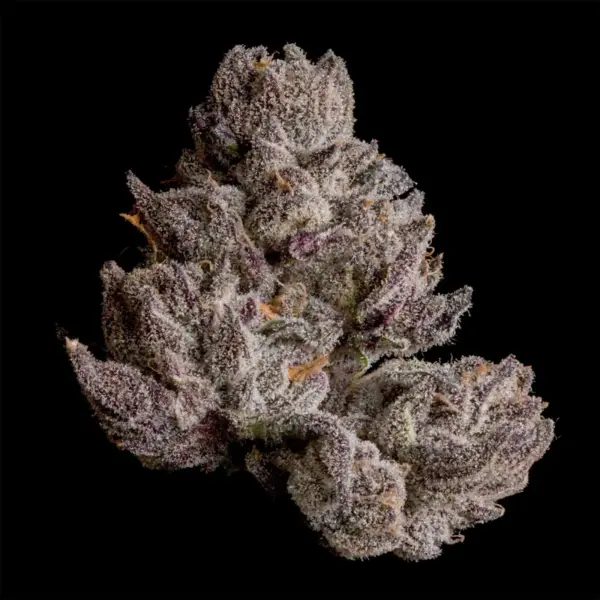Cauldron feminisierte Cannabissamen