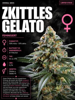 Zkittles Gelato – Criminal Seeds feminisiert 3er Pack Zkittles Gelato - Criminal Seeds feminisiert 3er Pack