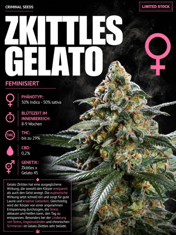 Zkittles Gelato – Criminal Seeds feminisiert 3er Pack Zkittles Gelato – Criminal Seeds feminisiert 3er Pack