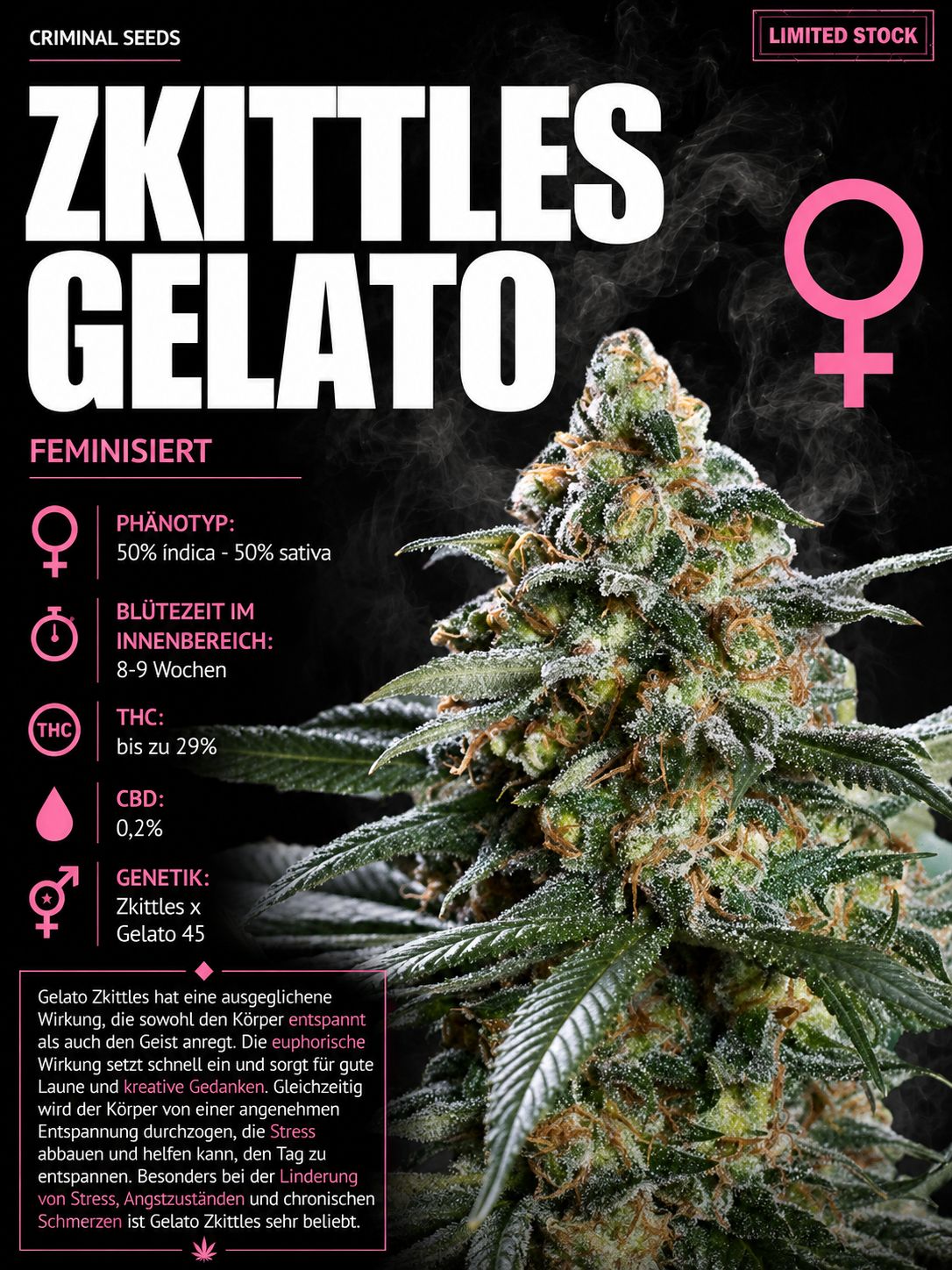 Zkittles Gelato - Criminal Seeds feminisiert 3er Pack