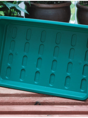 Zimmer-Gewächshausboden mittelgroß 37 x 22 37 x 22 x 6 cm