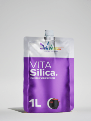 Vitaponix VitaSilica Pflanzenhilfsmittel 1 Liter