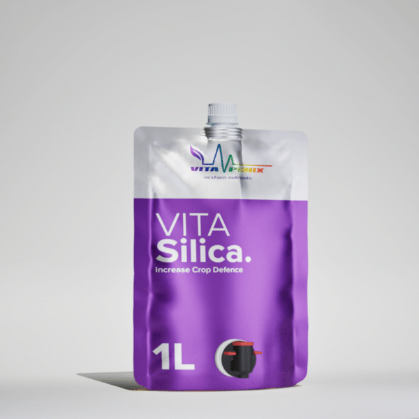 Vitaponix VitaSilica Pflanzenhilfsmittel 1 Liter
