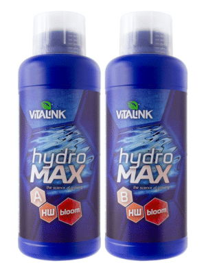 VitaLink Hydro MAX Bloom 1 L A&B