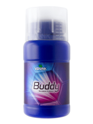 VitaLink Buddy 250 ml