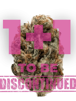 Growers Choice KO Kush