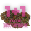 Growers Choice Blue Dream Sherbet Autoflower Samen – Bild 3